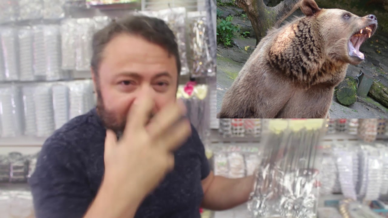 Products under $1: Bear Claw Necklace