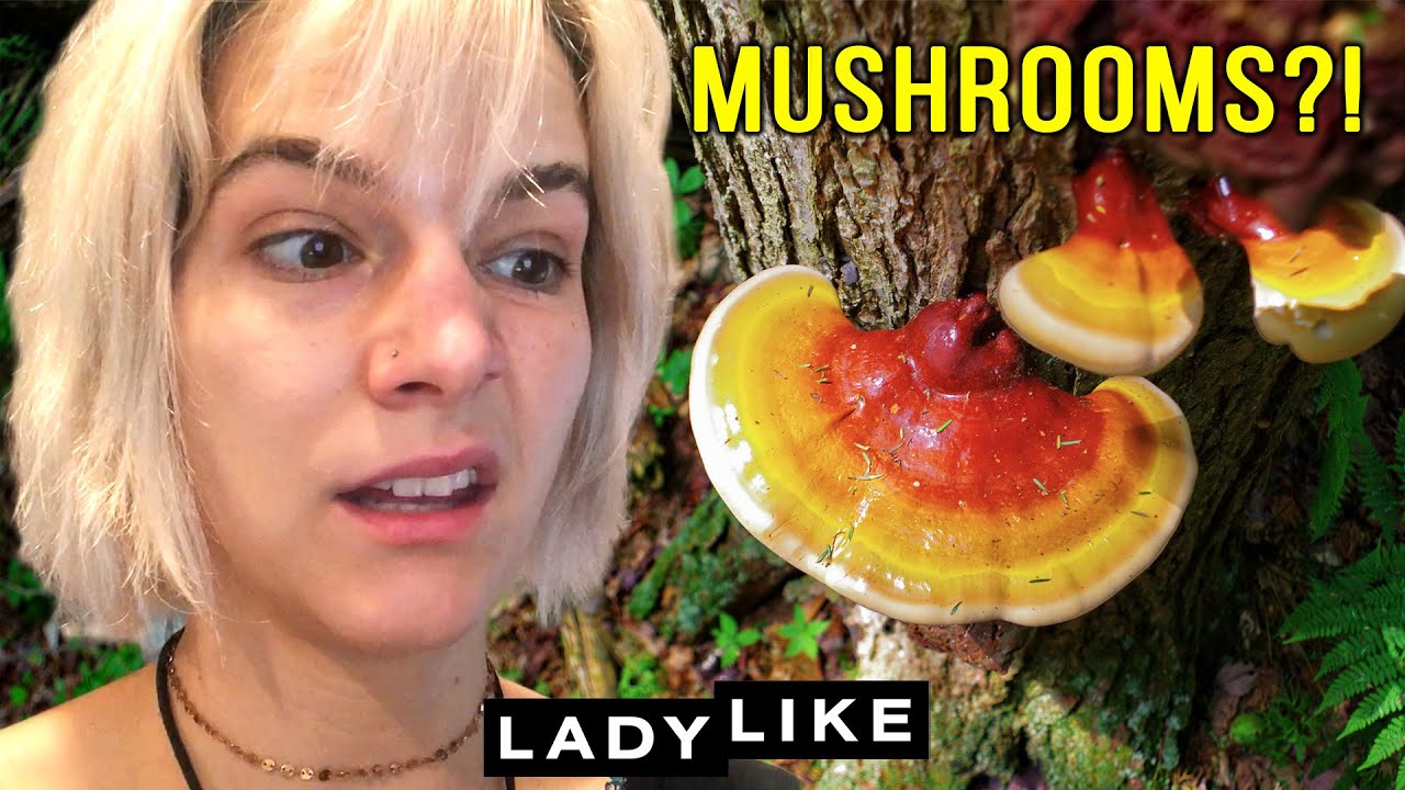 I Tried Mushrooms For My Anxiety For A Month • Ladylike