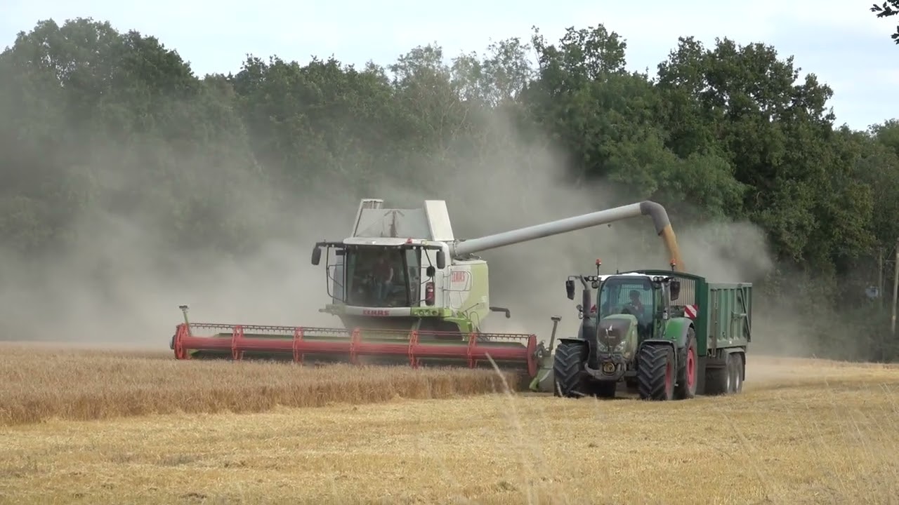 Class Lexion 750 unloading barley grain