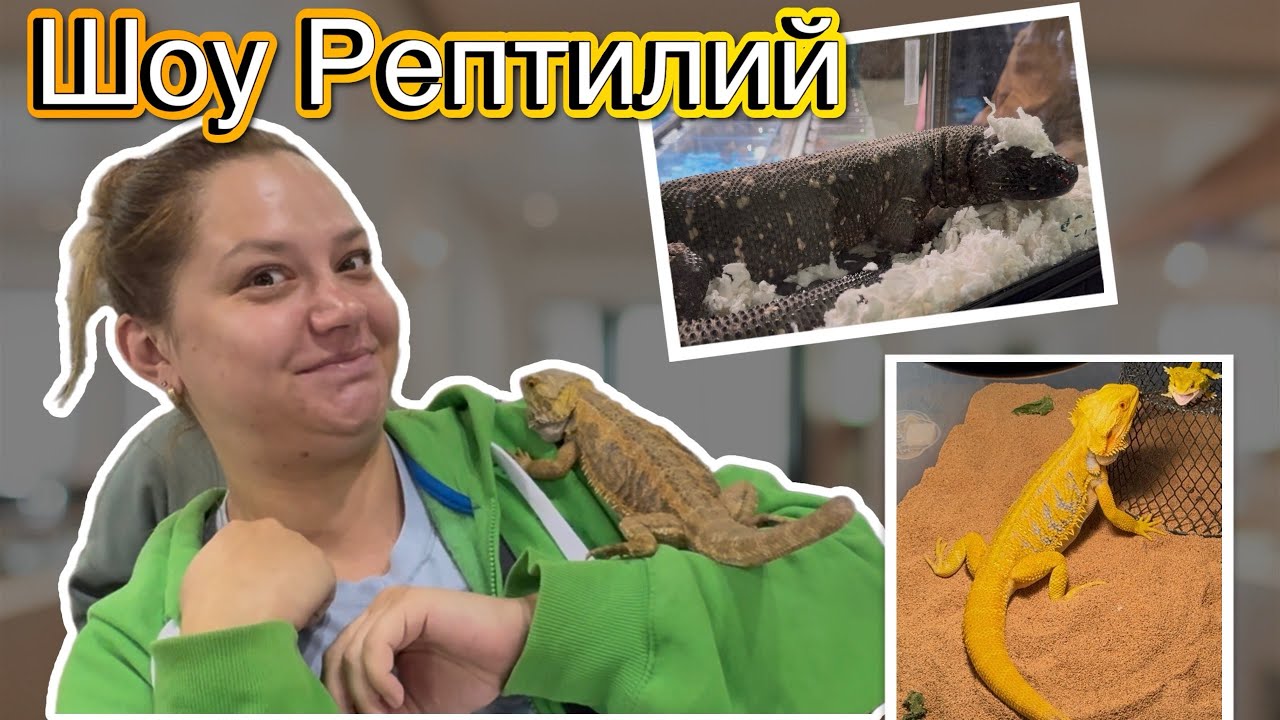 США Влог Шоу Рептилий, прогулка с дочкой #влогсша #влог #сшавлог #семья #жизньвсша #сша #рептилии 