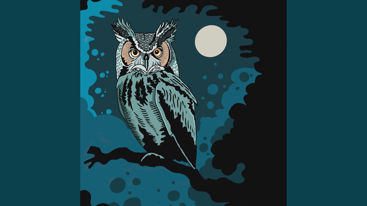 Night Owl