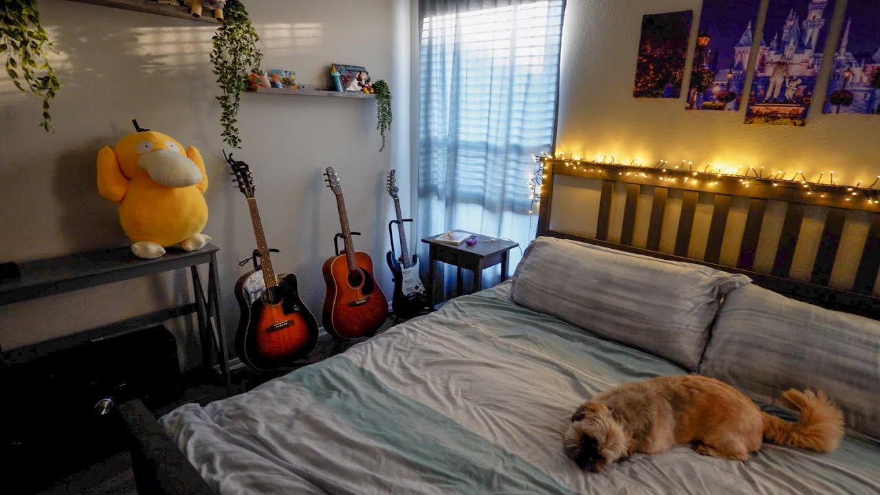 More Home Projects, An AJR Concert, And A New Camera Microphone!