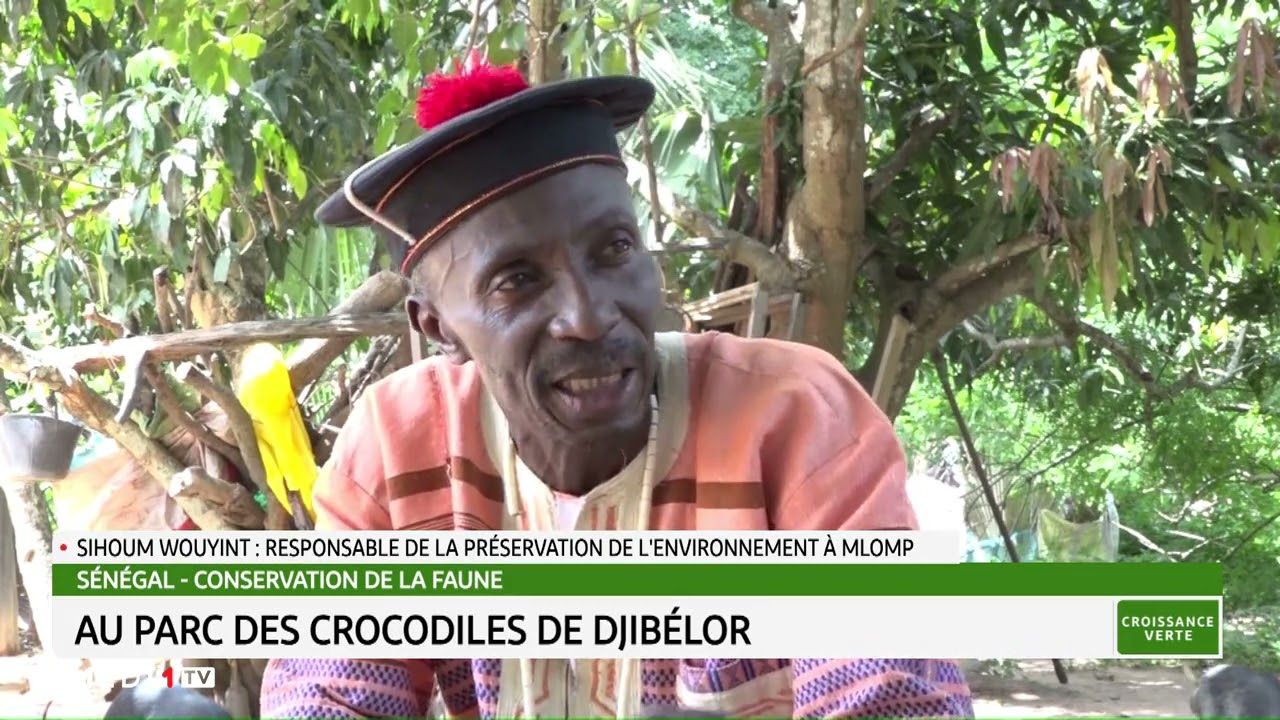 #CroissanceVerte .. Sénégal-conservation de la flore: au parc des crocodiles de Djibélor