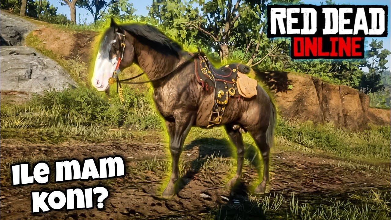 HODOWLA MOICH KONI W RED DEAD ONLINE!