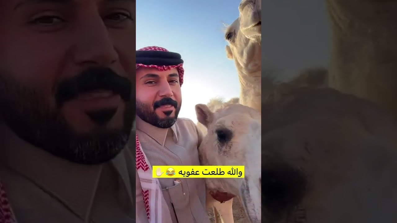 والله طلعت عفويه 😂😂 | غازي الذيابي