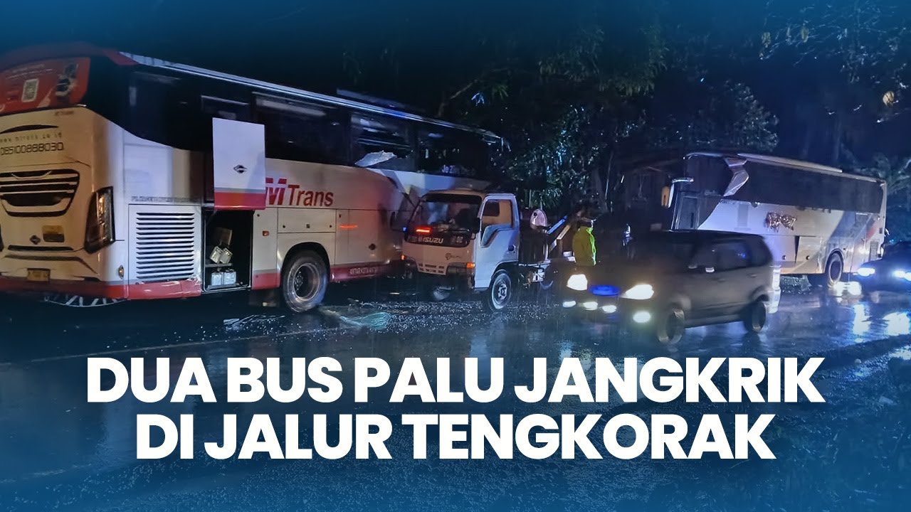 Adu Jangkrik! Kecelakaan Dua Bus di Jalur Tengkorak Jalan Raya Denpasar-Gilimanuk Bali