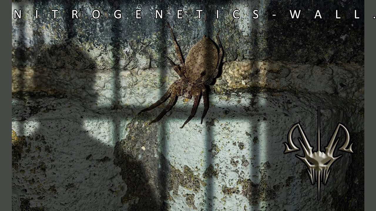 Nitrogenetics - Wall