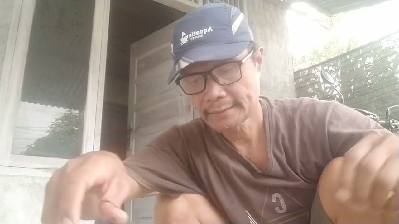 Cabe Subur Pasca Hujan! Cara Pupuk Asam Humat + Trichoderma Anti Busuk Akar