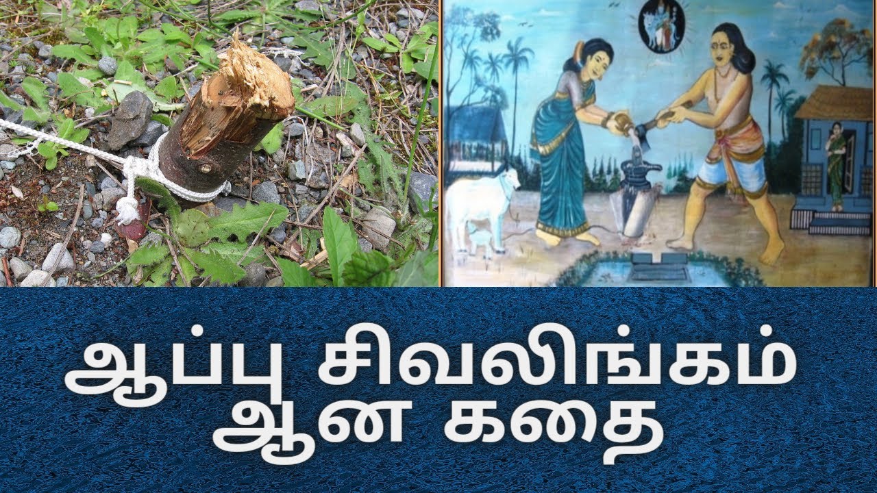 ஆப்பு சிவலிங்கம் ஆன கதை- திருக்கன்றாப்பூர்