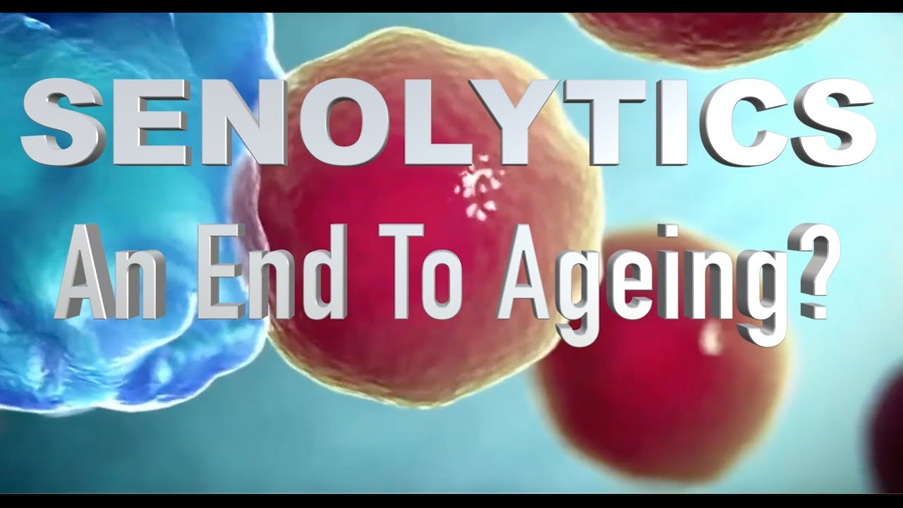 Senolytics - And End To Aging?