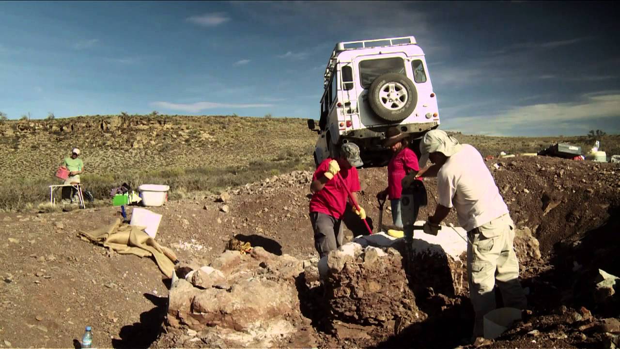 HISTORIAS DE CIENCIA - Capítulo Paleontología (2015)