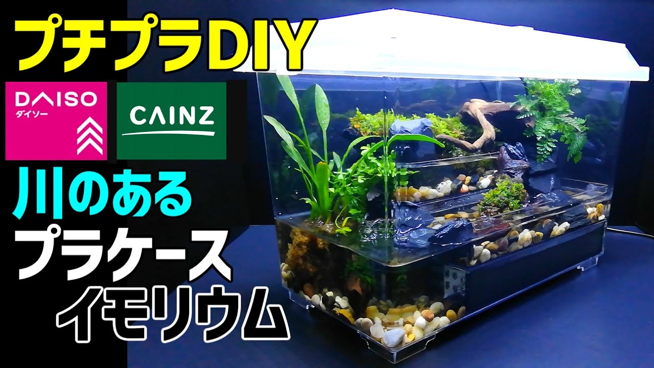 川のある【プラケース イモリウム】作り方100均DIY!イモリ飼育 カインズ・ダイソーアイテムでアクアテラリウム作成 /How to Make Tabletop Waterfall Terrarium