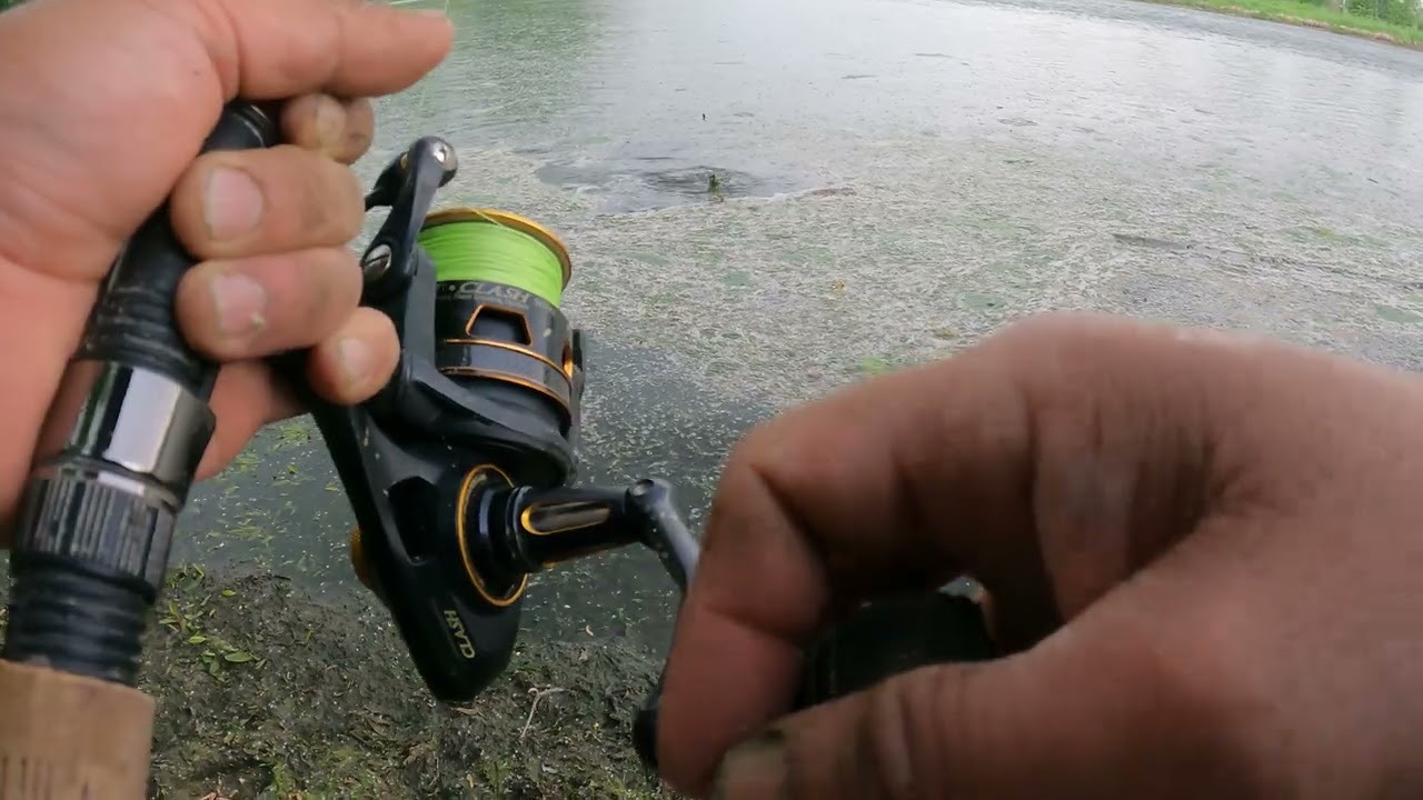 Pesca de carpa con masa de vainilla!