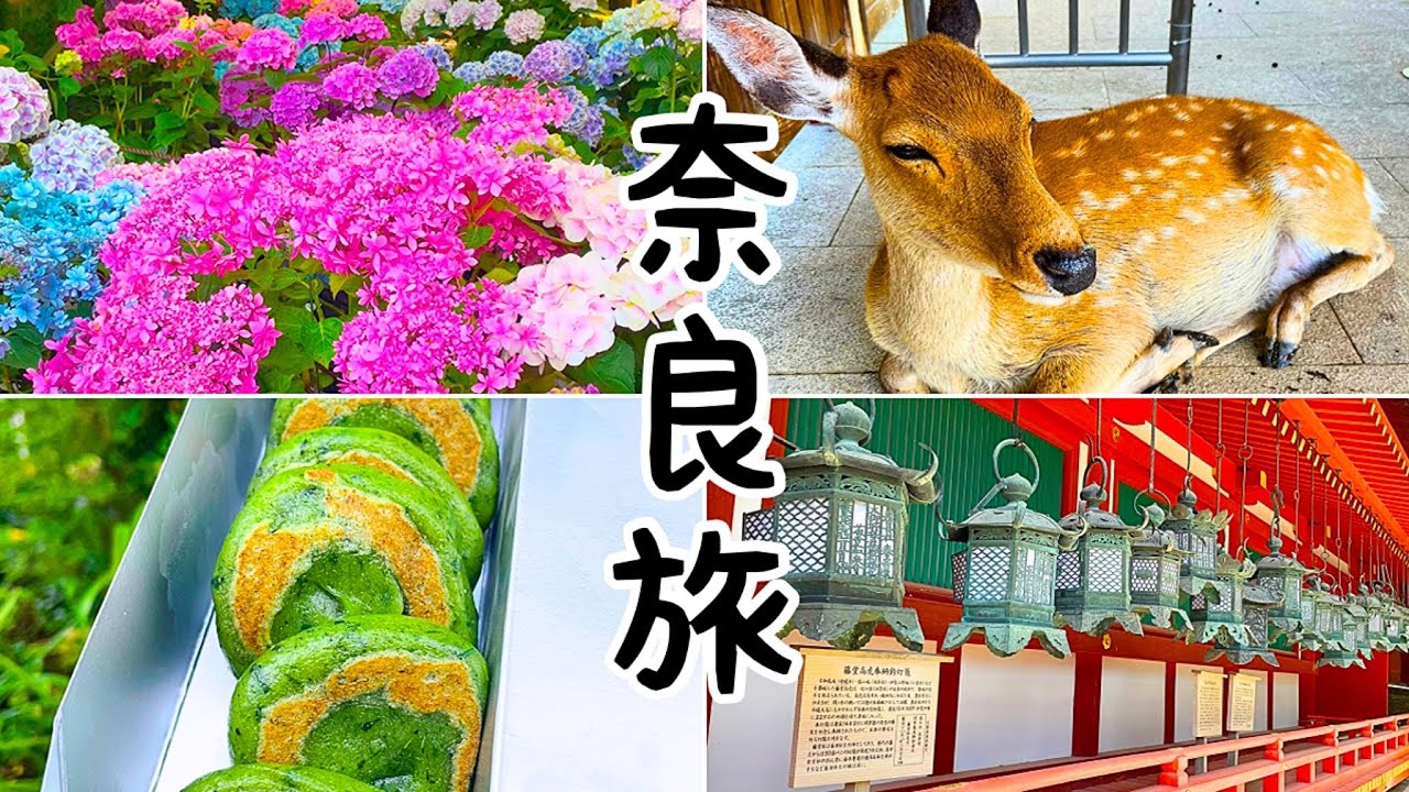 【奈良】自然に囲まれた奈良で歴史と風景を楽しんできた！