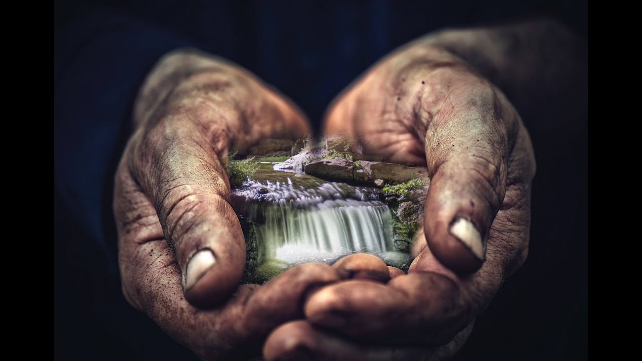Let the Hands of an Artist Transform Your Backyard
