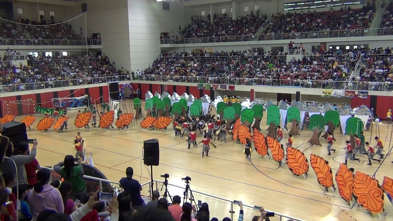 PSD Field Demo 2019 - Grade 8 (Elaiza)