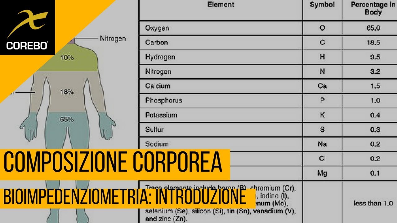 Bioimpedenziometria: le basi
