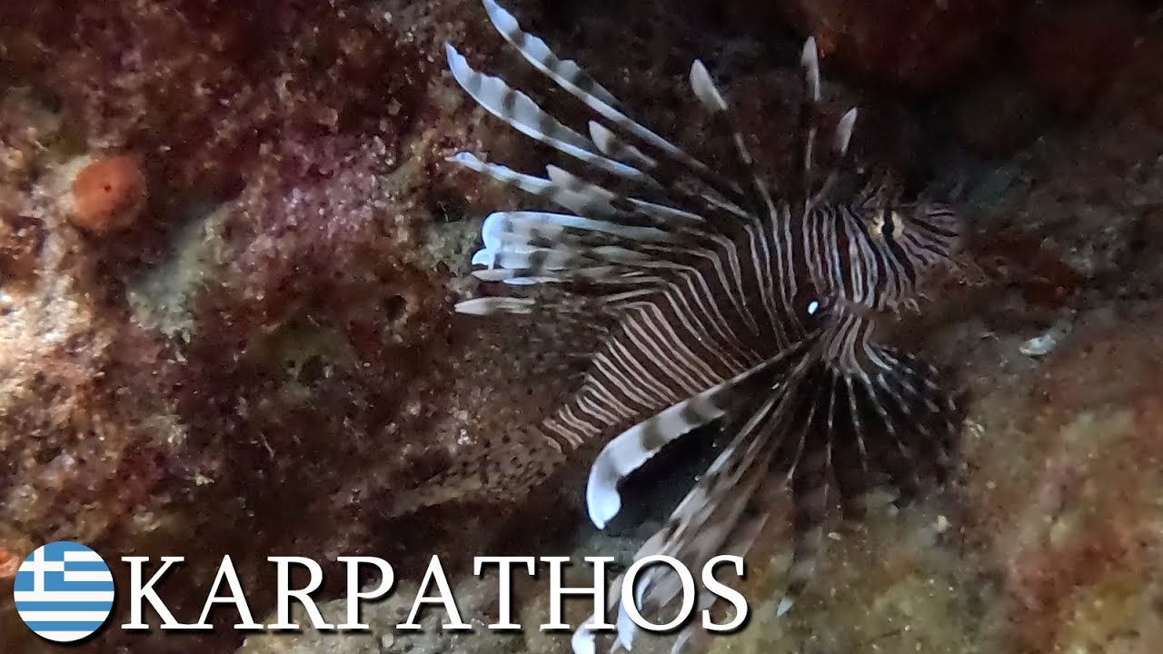 Karpathos holiday scuba diving, Ahata Beach 🇬🇷 Greece | v112