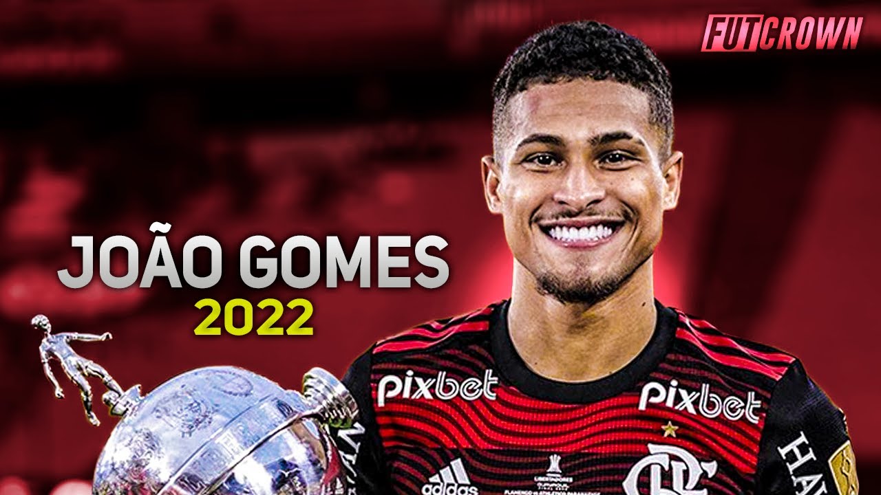 João Gomes 2022 ● Flamengo ► Amazing Skills, Goals & Tackles | HD