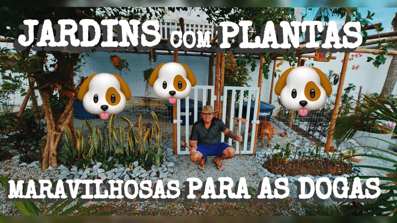 JARDINS COM PLANTAS MARAVILHOSAS PARA AS DOGAS.