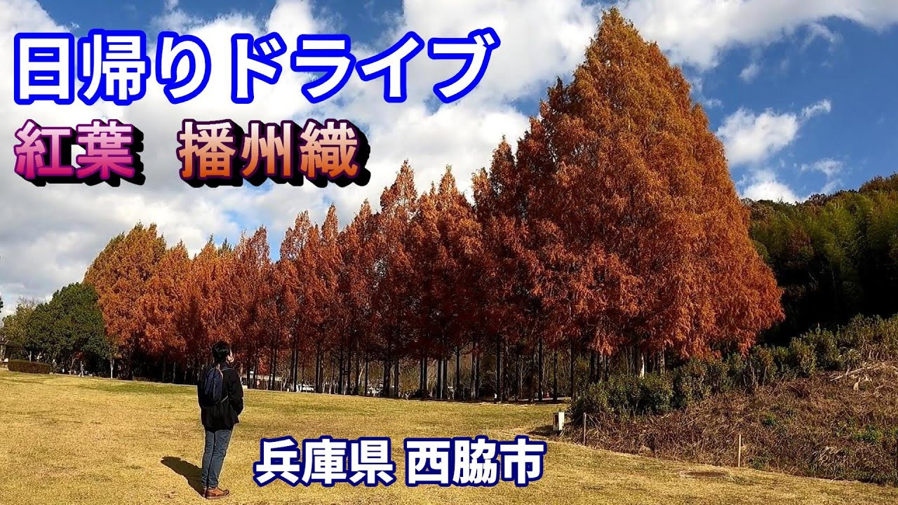 【兵庫県西脇市】日帰りドライブ　播州織オーダーシャツ お得ランチ 昭和レトロ喫茶店