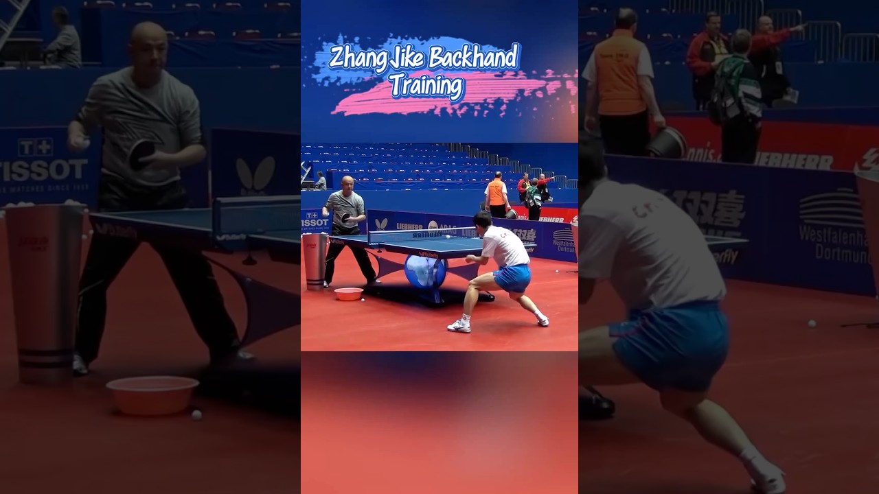 Zhang Jike Backhand Training 🏓