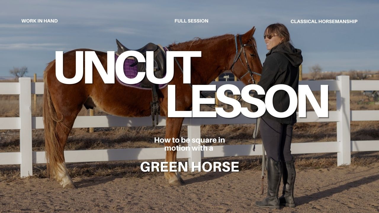 Live Classical Dressage session with Megan (+ work in hand)