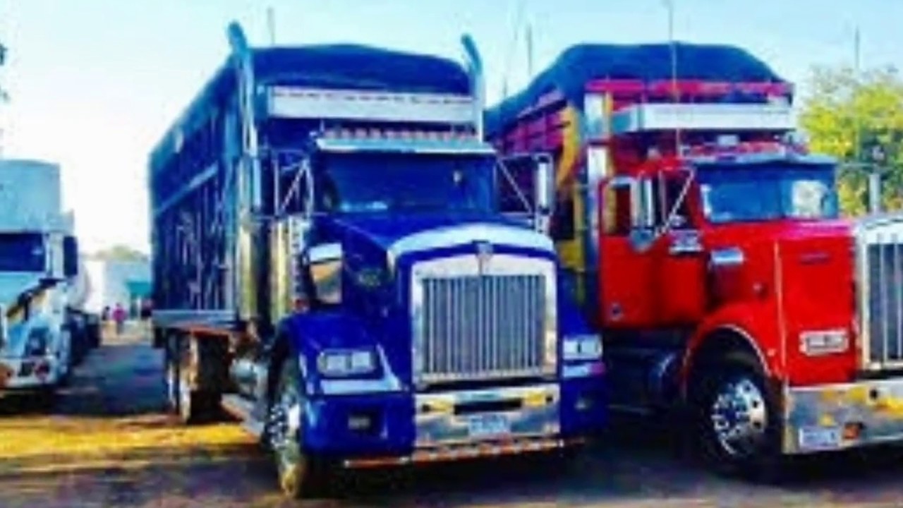 LOS MEJORES CAMIONES TORTON de MEXICO