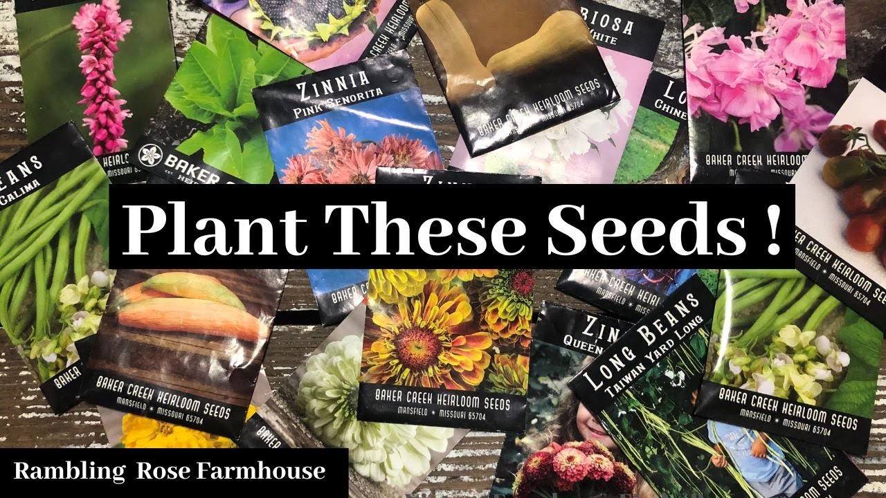 Choosing Seeds To Plant In The Spring Garden