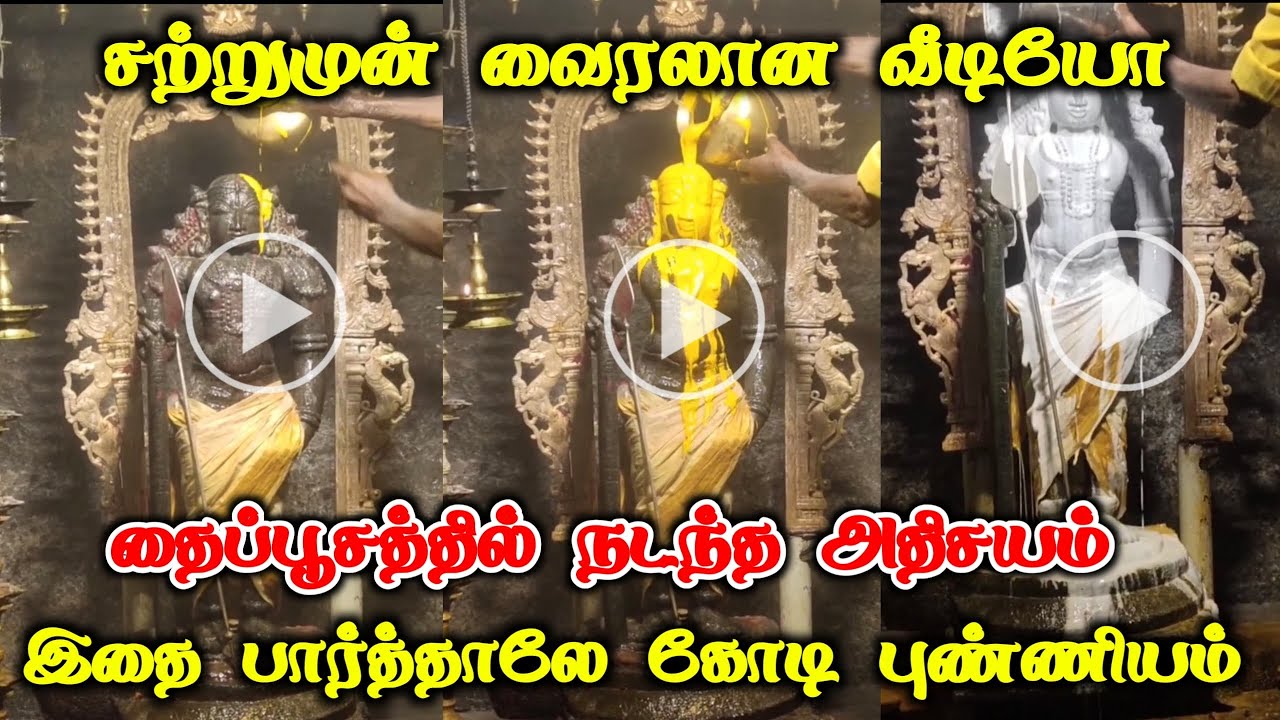 சற்றுமுன் வைரலான வீடியோ ! தைப்பூசத்தில் நடந்த அதிசயம் இதை பார்த்தாலே கோடி புண்ணியம்!#westar