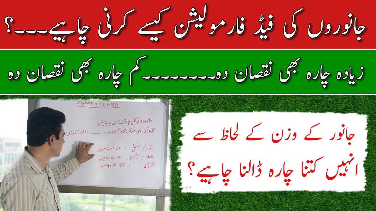 Dry matter calculation of livestock feed| Feed formulation for dairy cattle| How to calculate feed