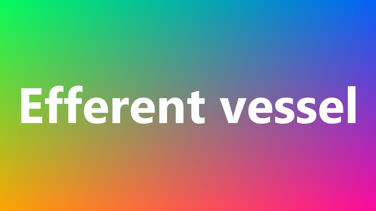 Efferent vessel - Medical Definition and Pronunciation