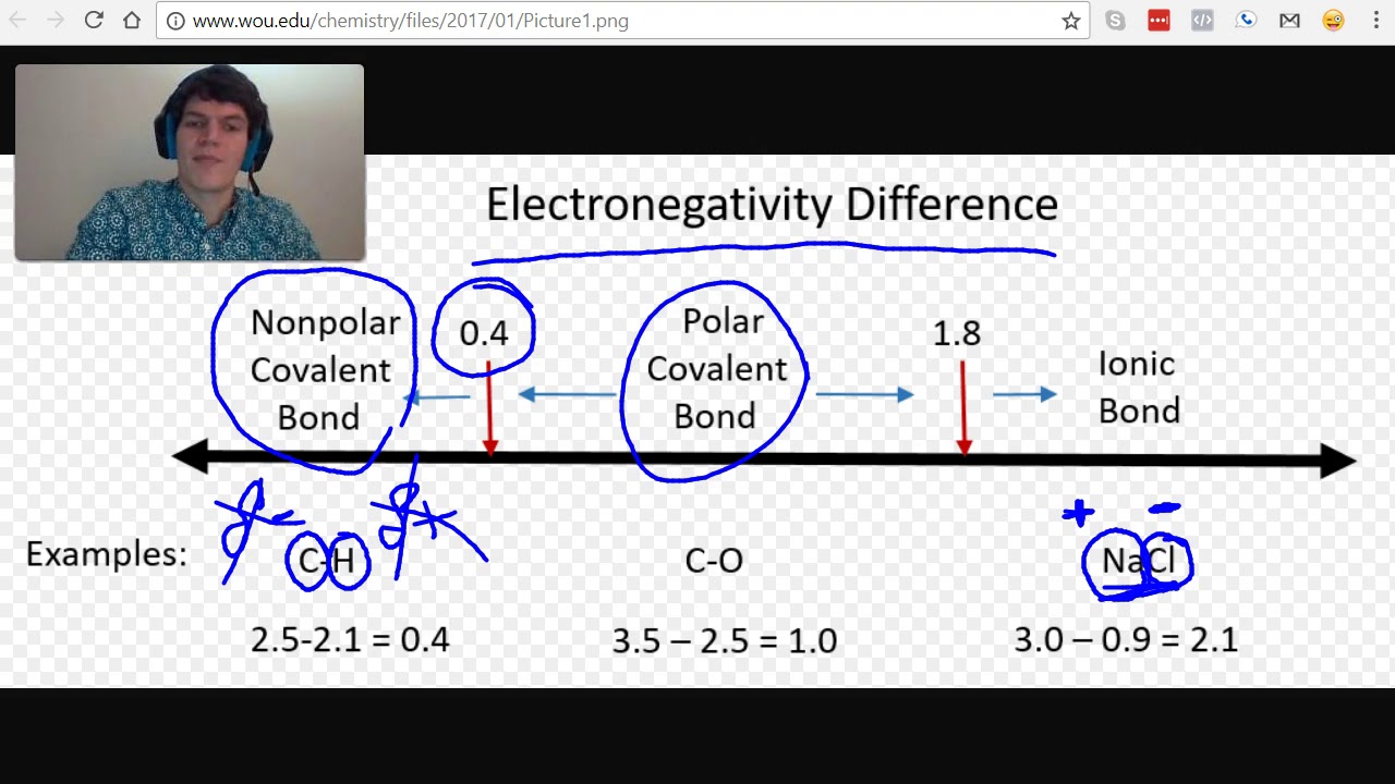 MCAT Question of the Day: Electronegativity and Bonding