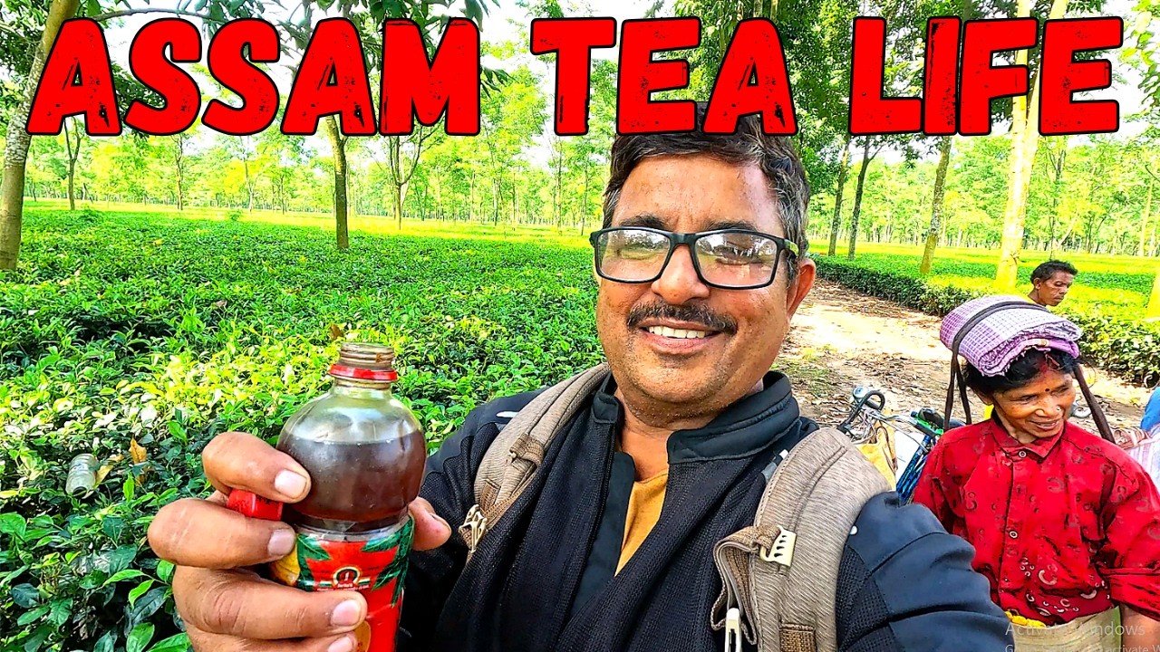 Assam TEA Gardens | Life of Tea Pluckers | SOLO Bike Journey in North East
