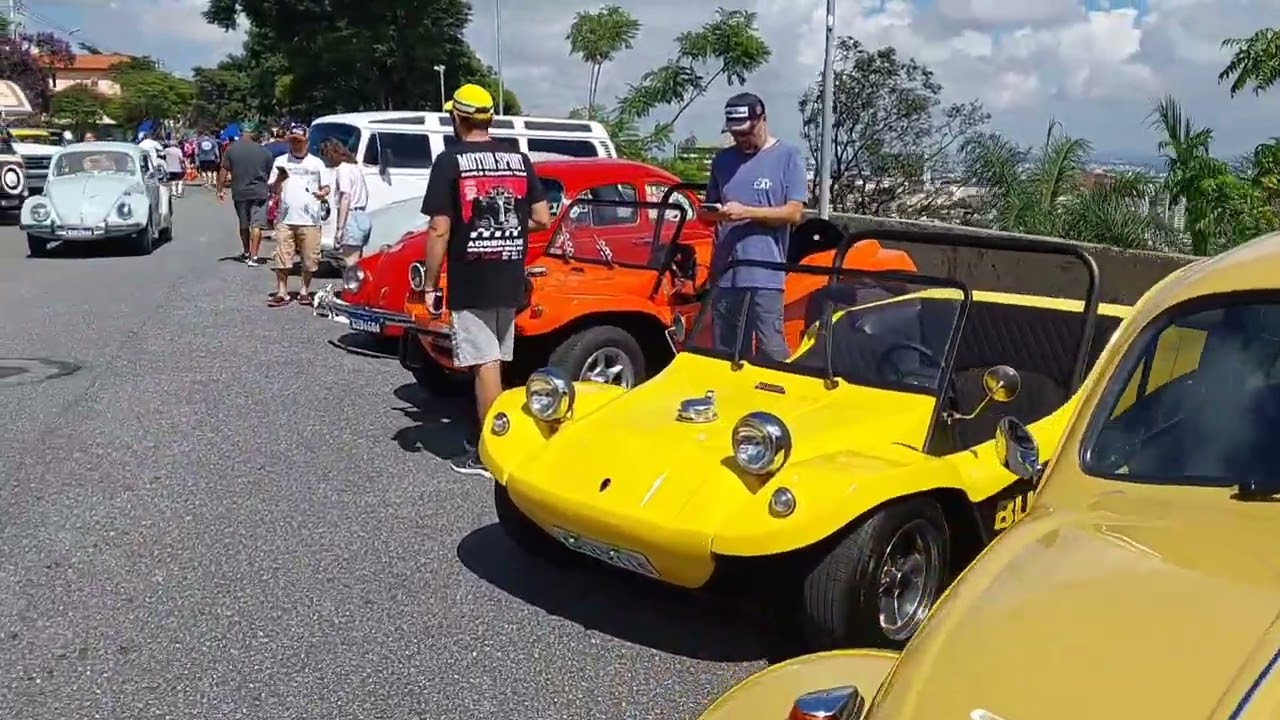 encontro de carros antigos foi um grande sucesso#vitórianaestrada 