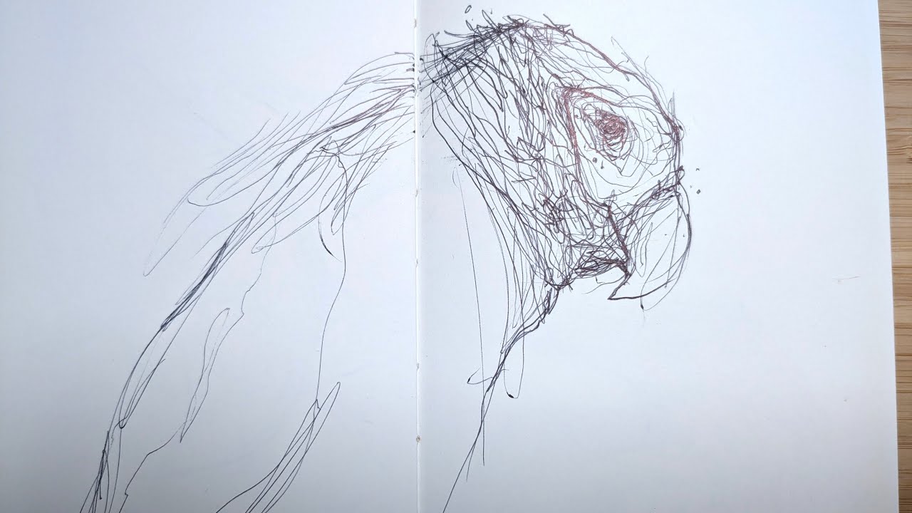 SKETCHBOOK TOUR: Animal Drawings in Ballpoint Pen