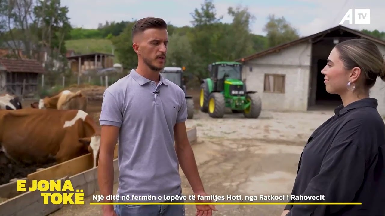 Një ditë në fermën e lopëve të familjes Hoti, nga Ratkoci i Rahovecit