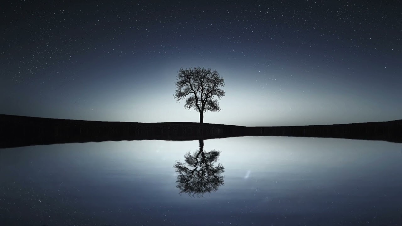 The Sycamore Tree