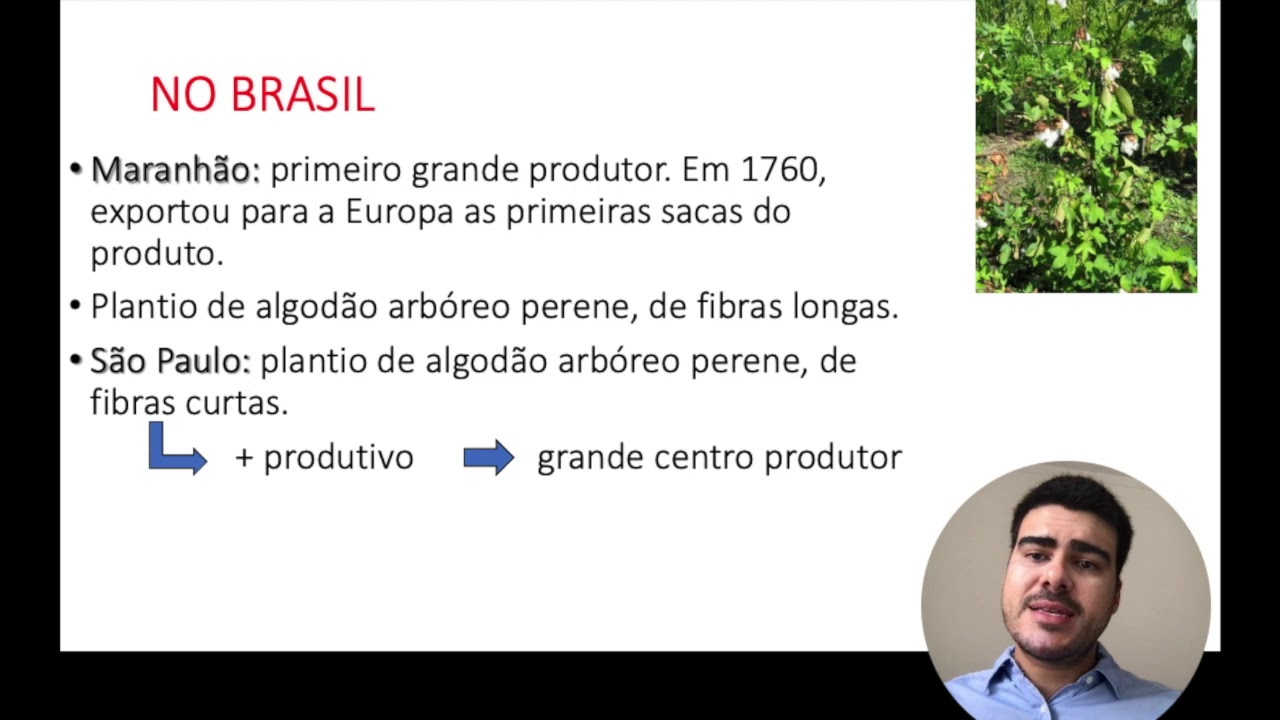 Algodão: Origem, Botânica e aspectos econômicos