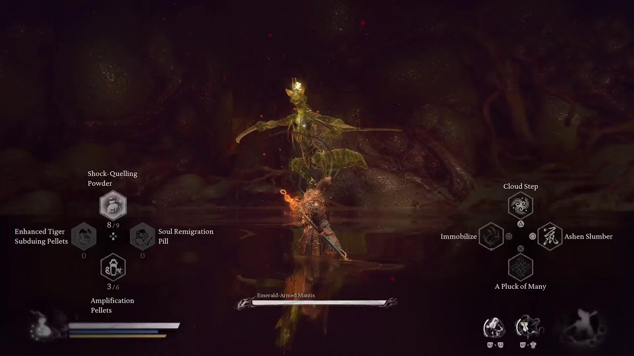 Wukong LIVE 12