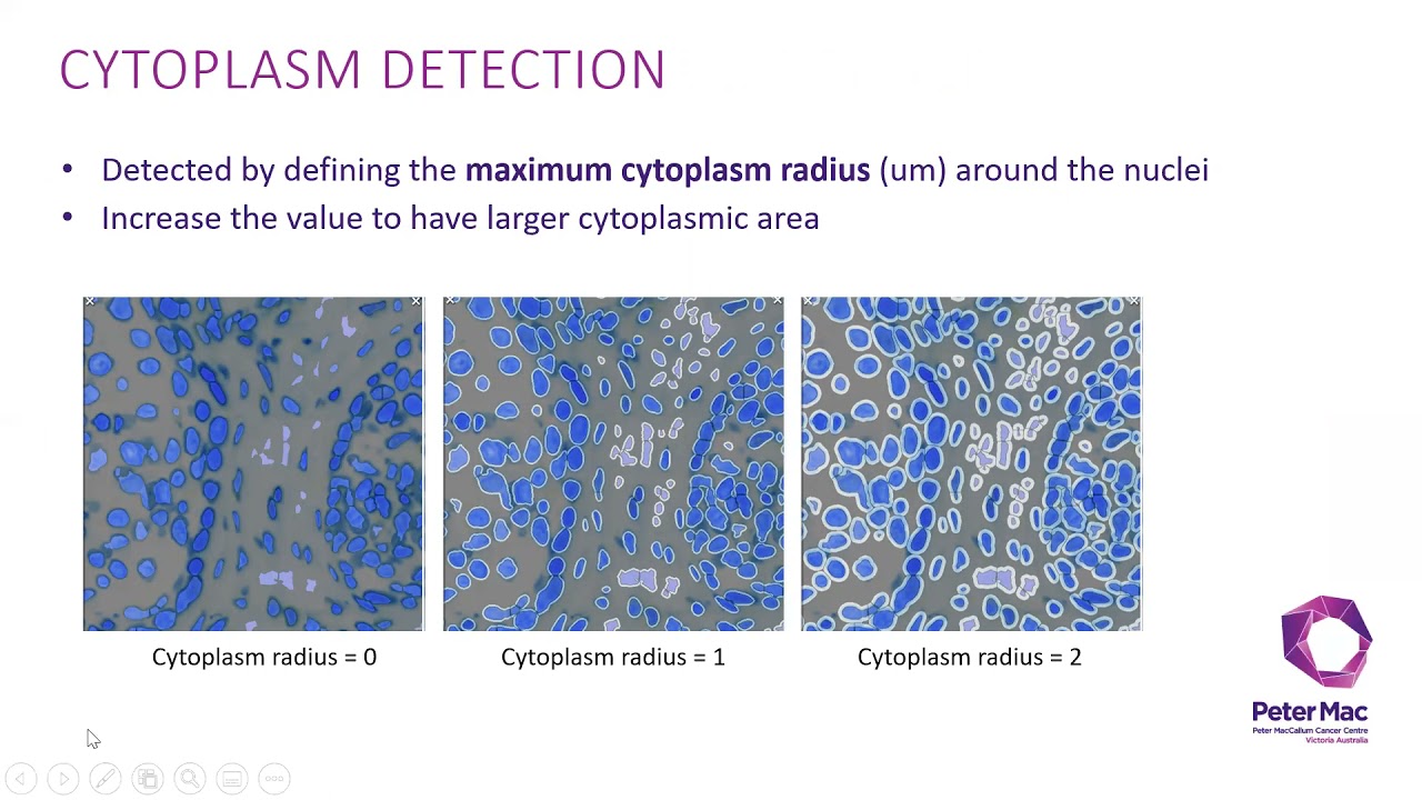 Talk 4: Using Halo to analyse OPAL mIHC images
