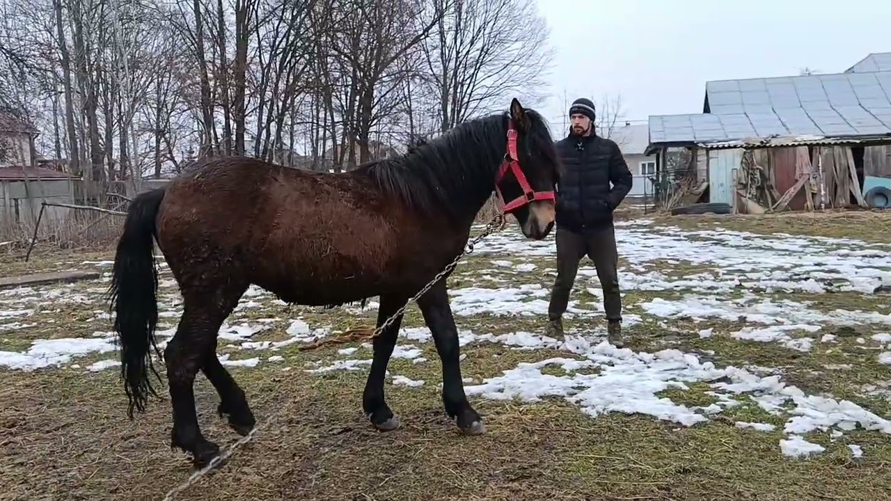 💥 РОЗІГРАШ ВІДМІНЕНО🎯ЛОШАК ЗМІНИТЬ ГОСПОДАРЯ📌