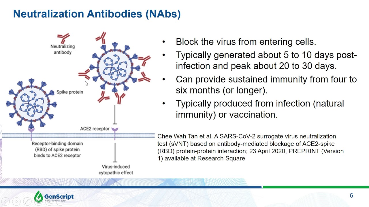 Measuring levels of SARS-CoV-2 neutralizing antibodies in individuals using a high-throughput test