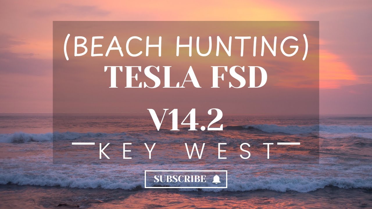 ПЛЯЖНЫЙ ПОИСК С ИСПОЛЬЗОВАНИЕМ TESLA FSD V14.2 НА ОСТРОВАХ ФЛОРИДЫ...