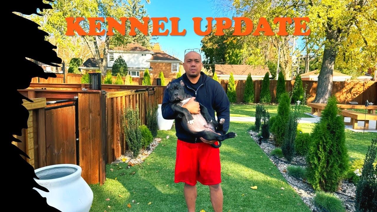 Kennel 2.0 | Designing The Perfect Dog Kennel: Functional Layout & Build Tips | Update 2025