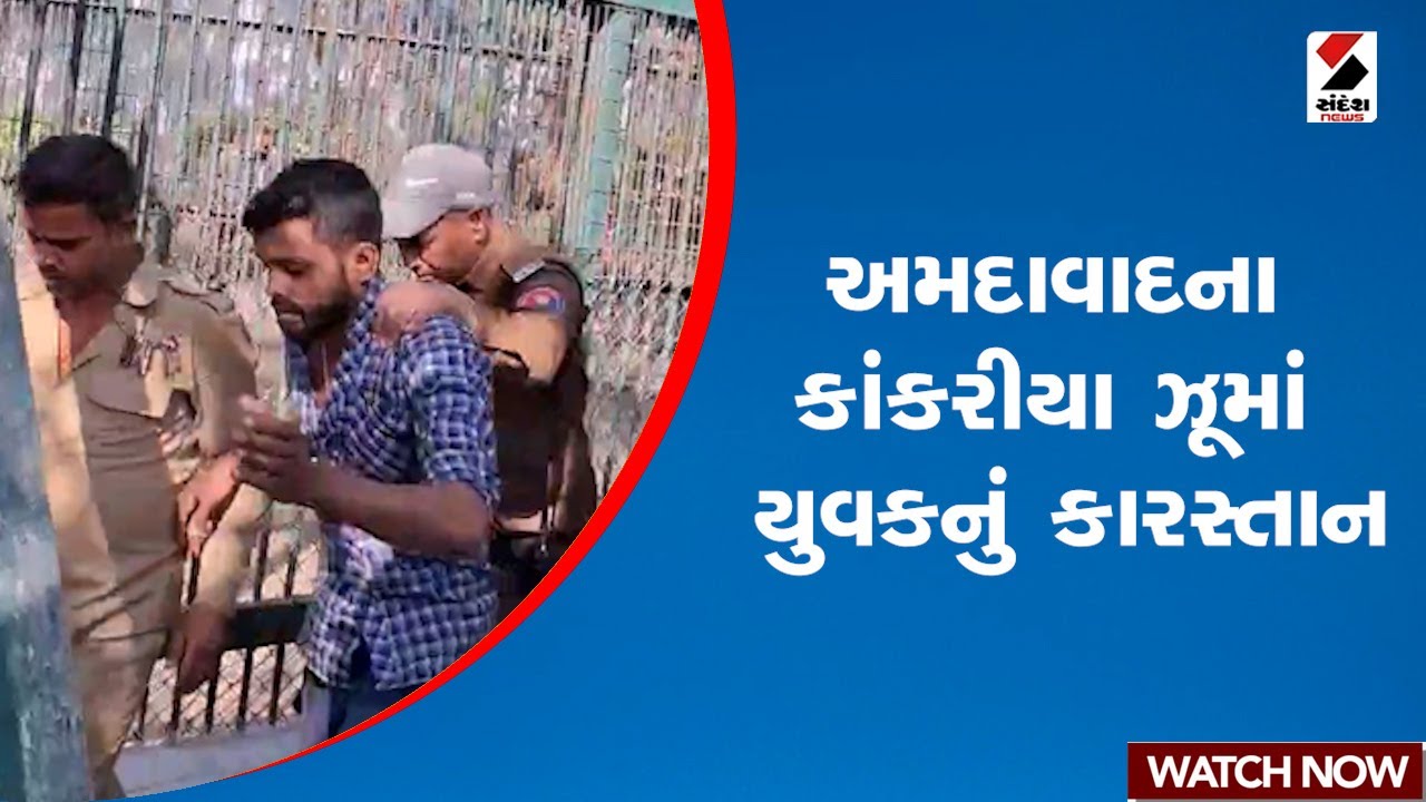 Ahmedabad | અમદાવાદના કાંકરીયા ઝૂમાં યુવકનું કારસ્તાન | Kankaria Zoo | Gujarat