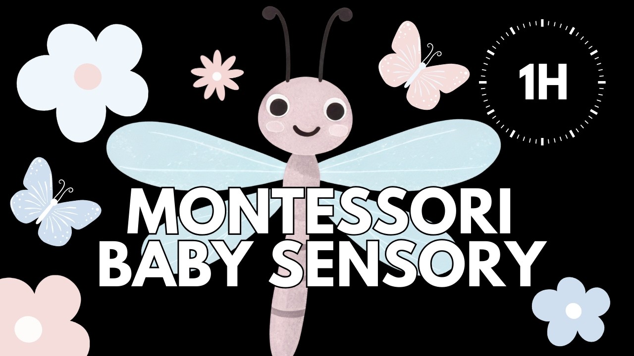 Viral Montessori Baby Sensory 🩷 | Dragonfly Visuals | Low Stimulation | Calm Music | 1 Hour