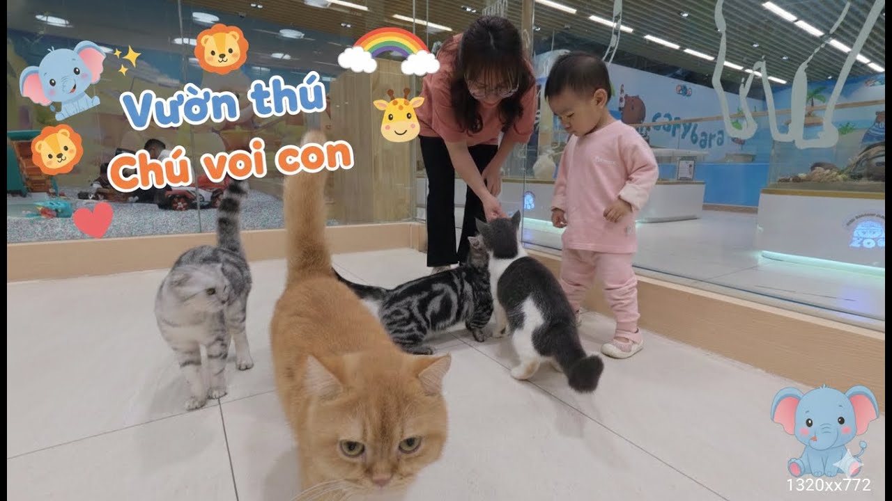 Sữa đi chơi vườn thú Chú Voi Con| Gia đình Công Hiền