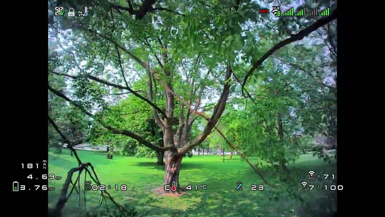 Tree surfing