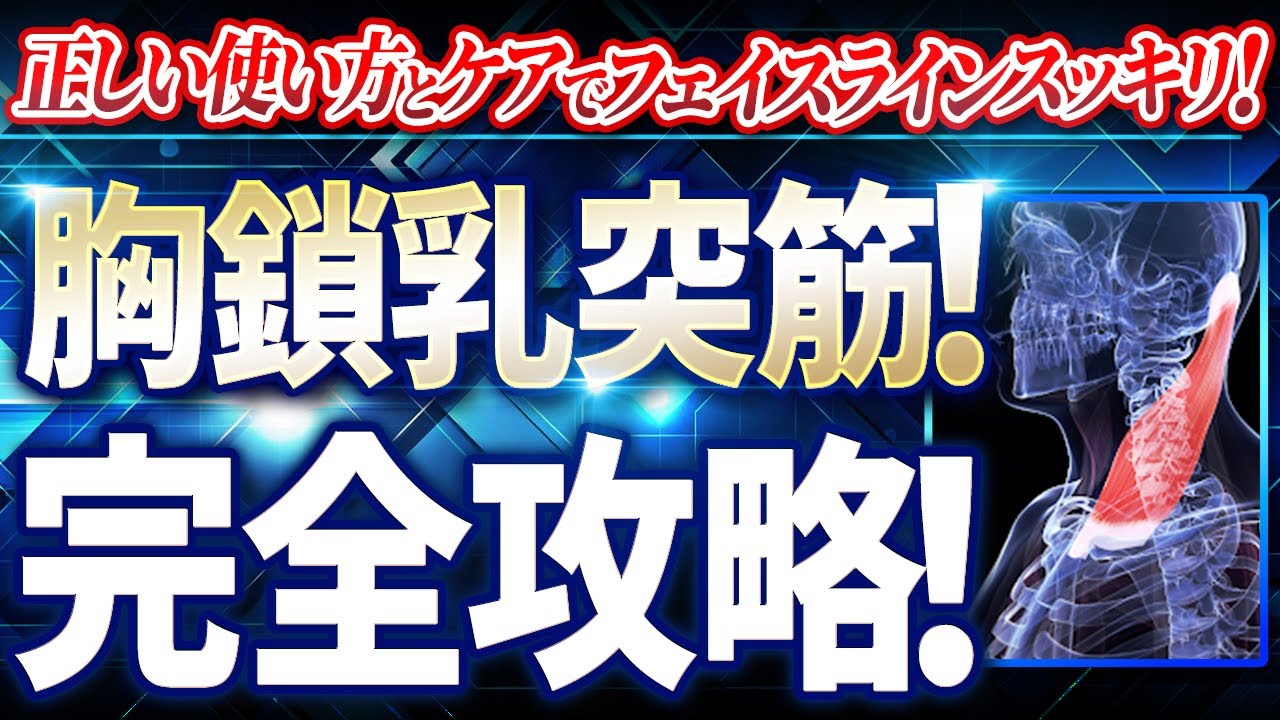 胸鎖乳突筋でフェイスラインスッキリ！解剖学から完全攻略！